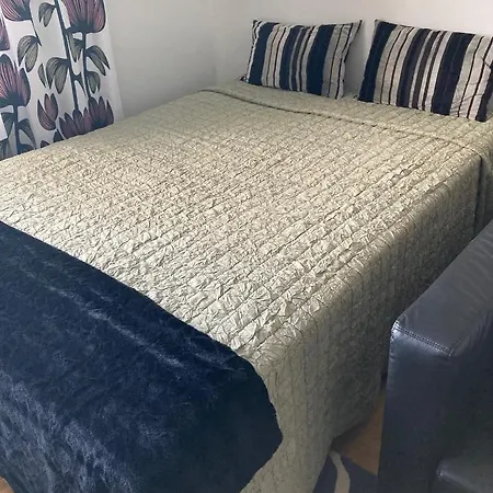 Apartment Viihtyisae Asunto Keskustassa Palvelujen Laehellae